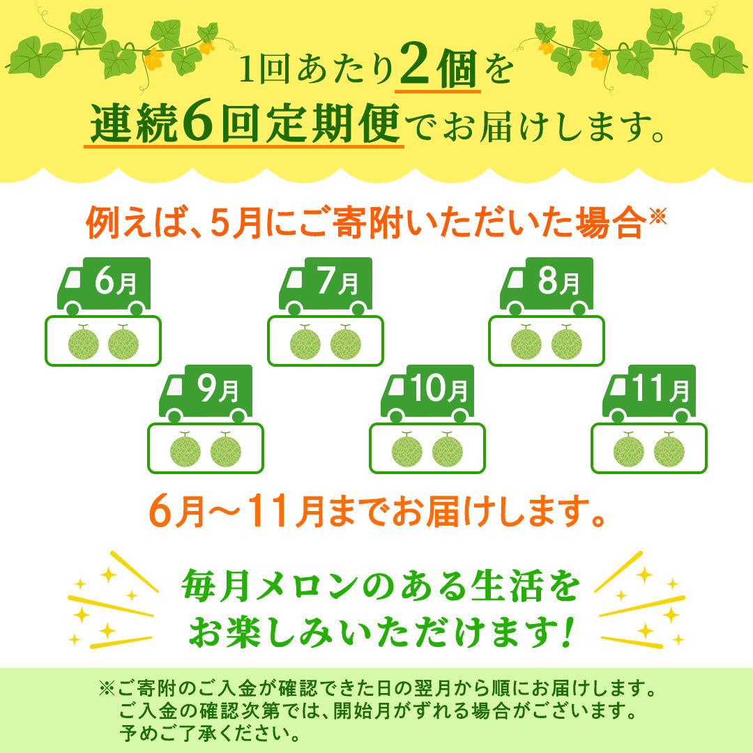 【定期便】 赤肉アールスメロン 2玉 × 6か月連続 アールスメロン 赤肉 高糖度 甘い フルーツ 誕生日 プレゼント ギフト 贈り物 父の日 母の日 2個 [FC40-NT]