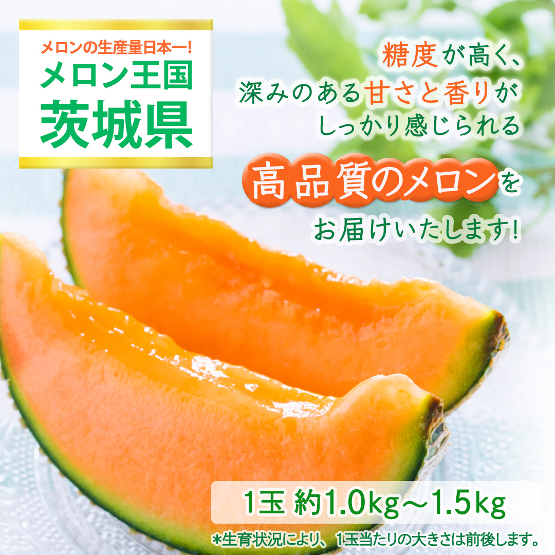 【定期便】 赤肉アールスメロン 3玉 × 6か月連続 赤肉 高糖度 甘い 美味しい フルーツ 誕生日 プレゼント ギフト 贈り物 父の日 母の日 3個 [FC43-NT]