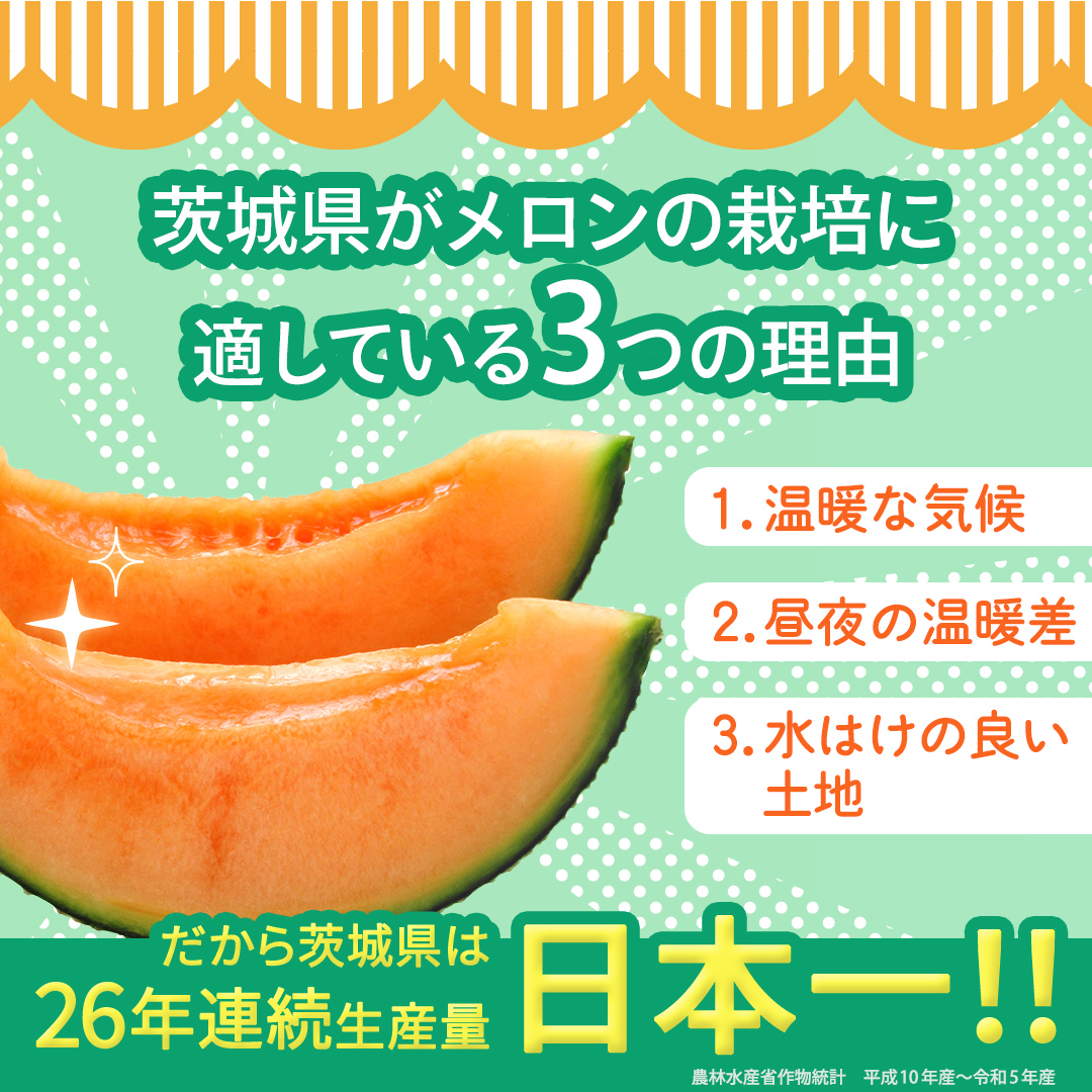 【定期便】 赤肉アールスメロン 3玉 × 6か月連続 赤肉 高糖度 甘い 美味しい フルーツ 誕生日 プレゼント ギフト 贈り物 父の日 母の日 3個 [FC43-NT]