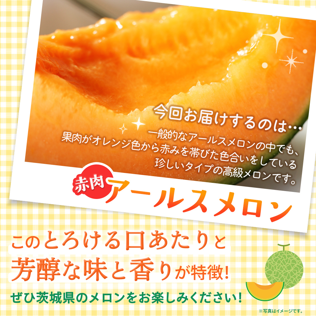 【定期便】 赤肉アールスメロン 3玉 × 6か月連続 赤肉 高糖度 甘い 美味しい フルーツ 誕生日 プレゼント ギフト 贈り物 父の日 母の日 3個 [FC43-NT]