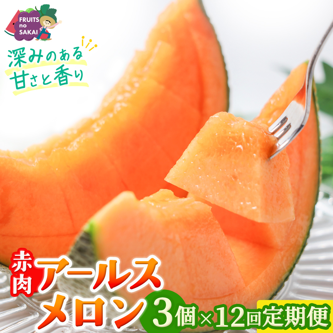 【定期便】 赤肉アールスメロン 3玉 × 12か月連続 赤肉 高糖度 甘い 美味しい フルーツ 誕生日 プレゼント ギフト 贈り物 父の日 母の日 3個 [FC44-NT]