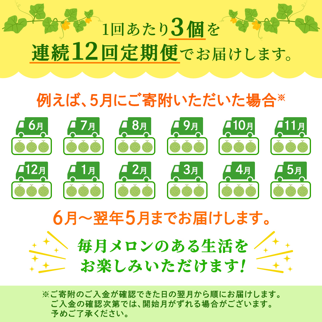 【定期便】 赤肉アールスメロン 3玉 × 12か月連続 赤肉 高糖度 甘い 美味しい フルーツ 誕生日 プレゼント ギフト 贈り物 父の日 母の日 3個 [FC44-NT]