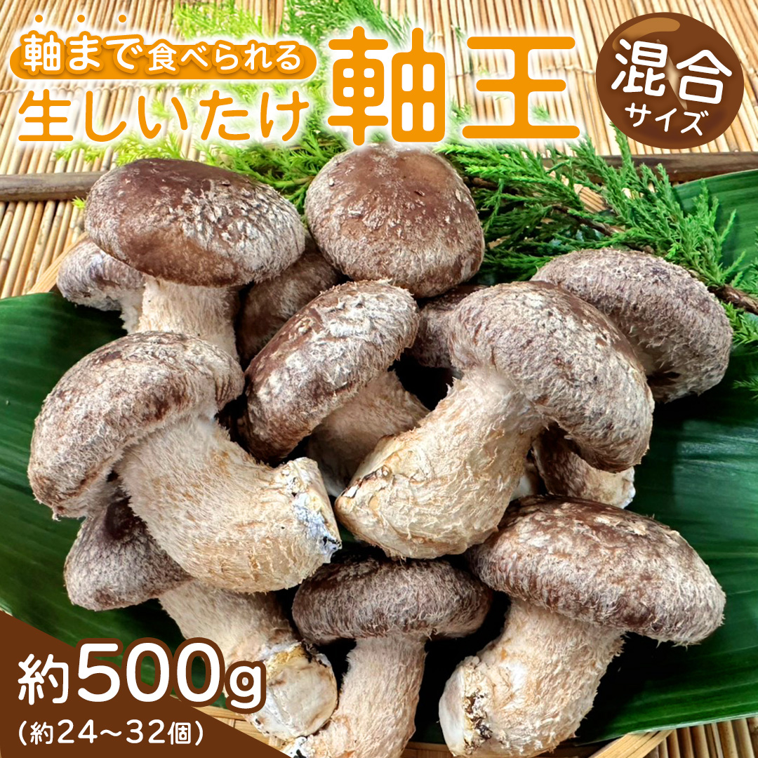 産地直送！軸まで美味しい『軸王しいたけ』サイズ混合 約500g (約24～32個) しいたけ 椎茸 シイタケ きのこ キノコ 野菜 軸が太い 軸まで食べられる 特大 肉厚 旨味 菌床 国産 ぷりぷり ステーキ 椎茸ステーキ 新鮮 BBQ バーベキュー バター焼き 網焼き きんぴら オイル漬け [FL03-NT]