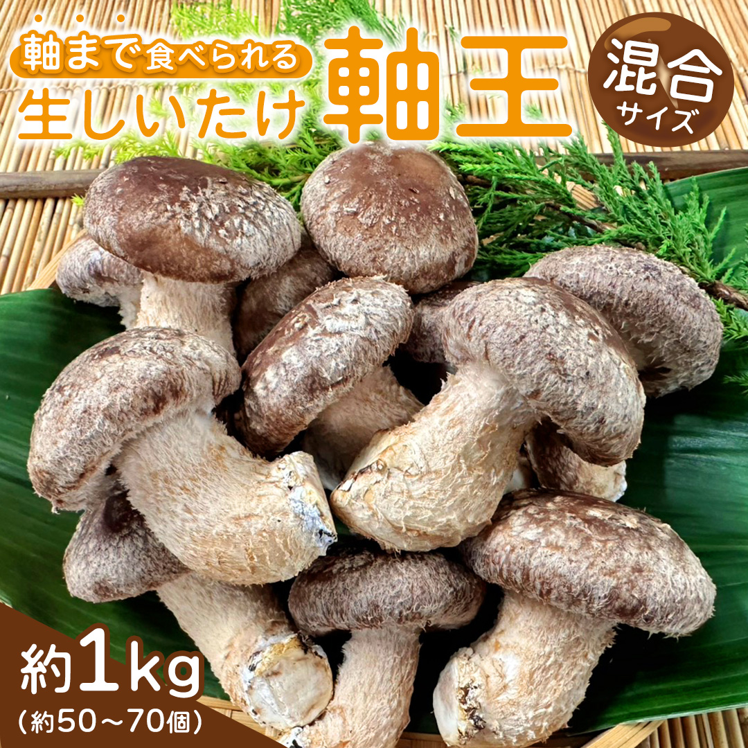 産地直送！軸まで美味しい『軸王しいたけ』サイズ混合 約1kg (約50～70個) しいたけ 椎茸 シイタケ きのこ キノコ 野菜 軸が太い 軸まで食べられる 特大 肉厚 旨味 菌床 国産 ぷりぷり ステーキ 椎茸ステーキ 新鮮 BBQ バーベキュー バター焼き 網焼き きんぴら オイル漬け [FL04-NT]