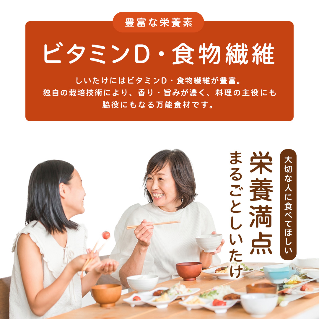 産地直送！軸まで美味しい『軸王しいたけ』サイズ混合 約1kg (約50～70個) しいたけ 椎茸 シイタケ きのこ キノコ 野菜 軸が太い 軸まで食べられる 特大 肉厚 旨味 菌床 国産 ぷりぷり ステーキ 椎茸ステーキ 新鮮 BBQ バーベキュー バター焼き 網焼き きんぴら オイル漬け [FL04-NT]