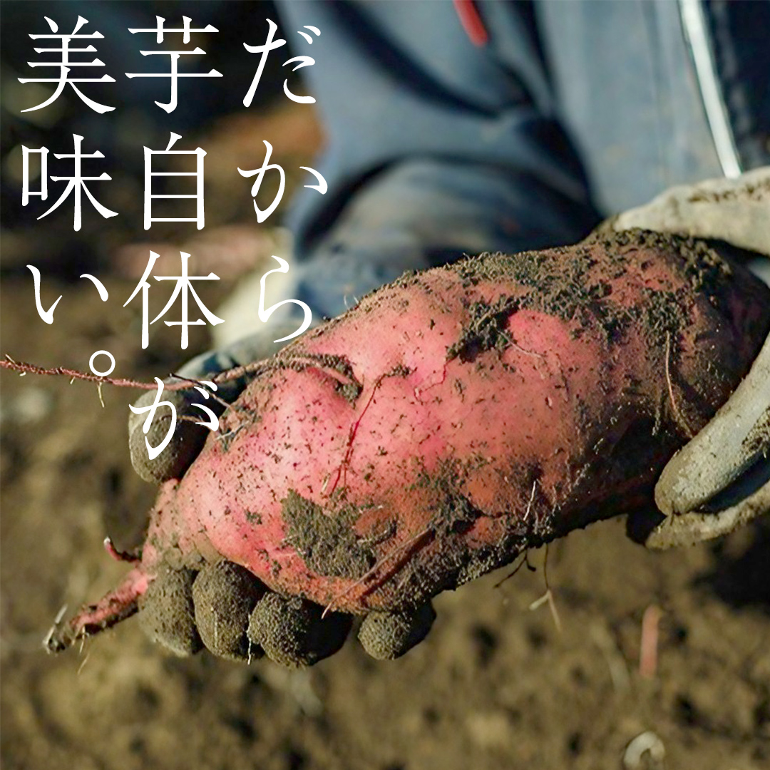 ＼ スピード発送対応 ／【 照沼クオリティ 】 干しいも 紅はるか 平干し100g×1袋 (メール便) つくばみらい さつまいも 平干し 干し芋 いも 照沼 食物繊維 化学肥料不使用 有機培 有機  [DY18-NT]