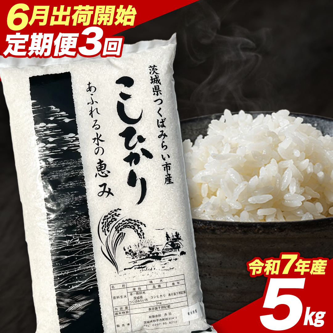【 定期便（6～8月出荷）】 コシヒカリ 5kg ×3回 令和7年産精米 【 数量限定 】茨城県つくばみらい市産 米 コメ 単一米 茨城県産 国産 発送 コスパ こしひかり