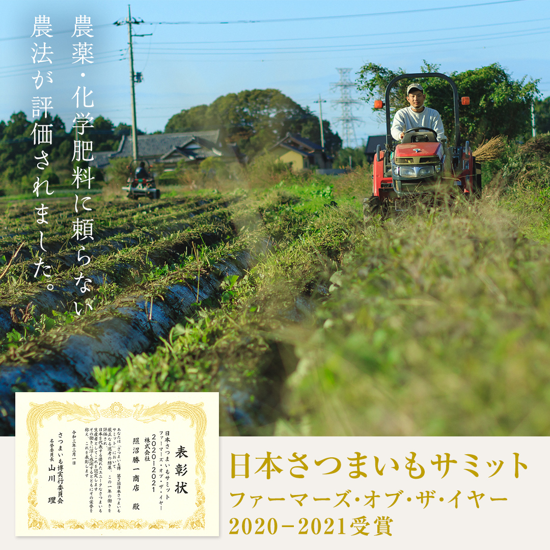 ＼ スピード発送対応 ／【 照沼クオリティ 】 干しいも 紅はるか 平干し200g×20袋 つくばみらい さつまいも 平干し 干し芋 いも 照沼 食物繊維 化学肥料不使用 有機 [DY24-NT]