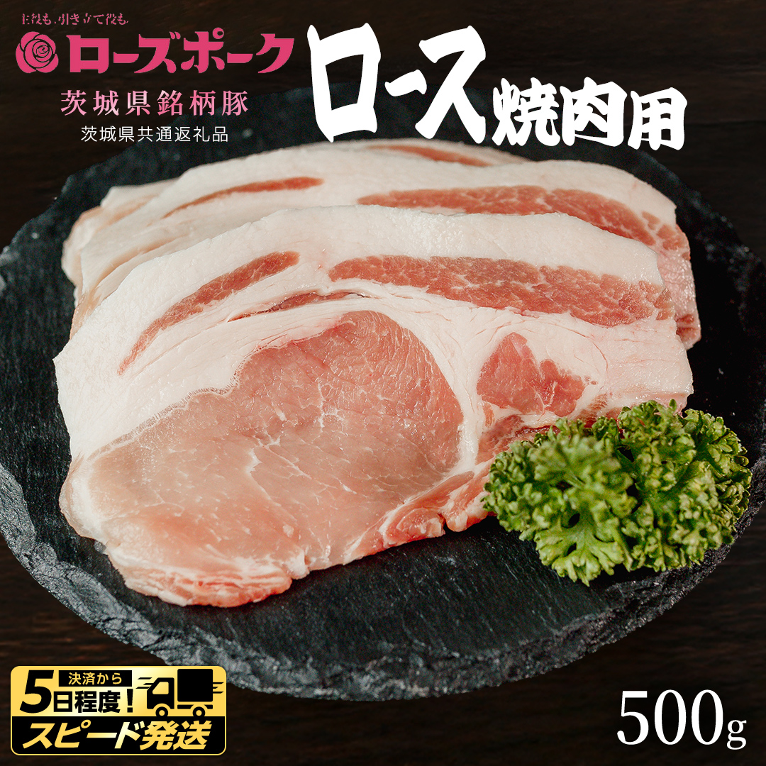 【 スピード 発送 】【 ローズポーク 】 豚ロース焼肉用 500g (茨城県共通返礼品) 肉 お肉 豚肉 国産豚 国産 銘柄豚 ブランド豚 豚ロース 焼肉 BBQ 冷凍肉 [AI20-NT]