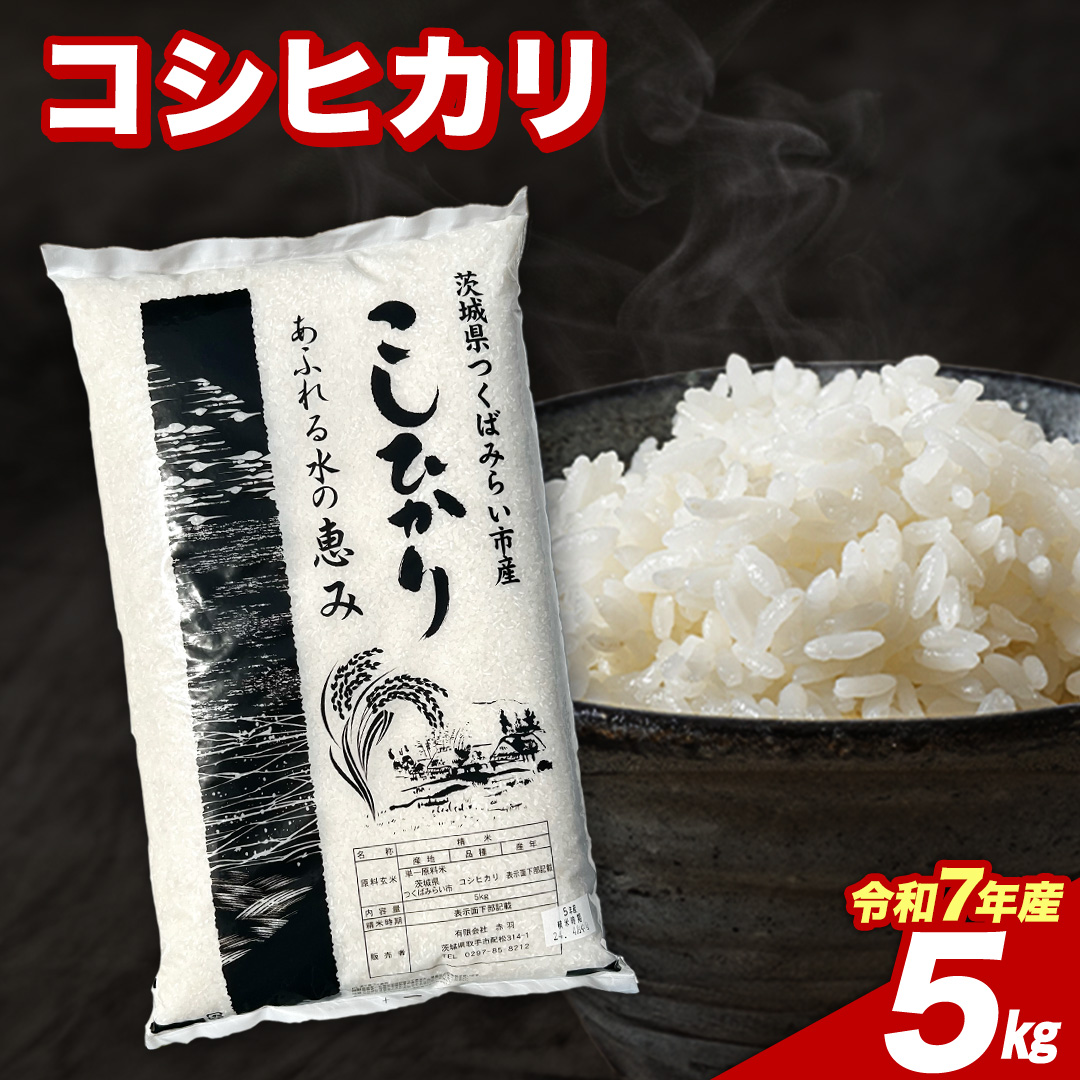 【8月上期出荷】 コシヒカリ 5kg 令和7年産精米 【 数量限定 】茨城県つくばみらい市産 米 コメ 単一米 9000 茨城県産 国産 発送 コスパ こしひかり