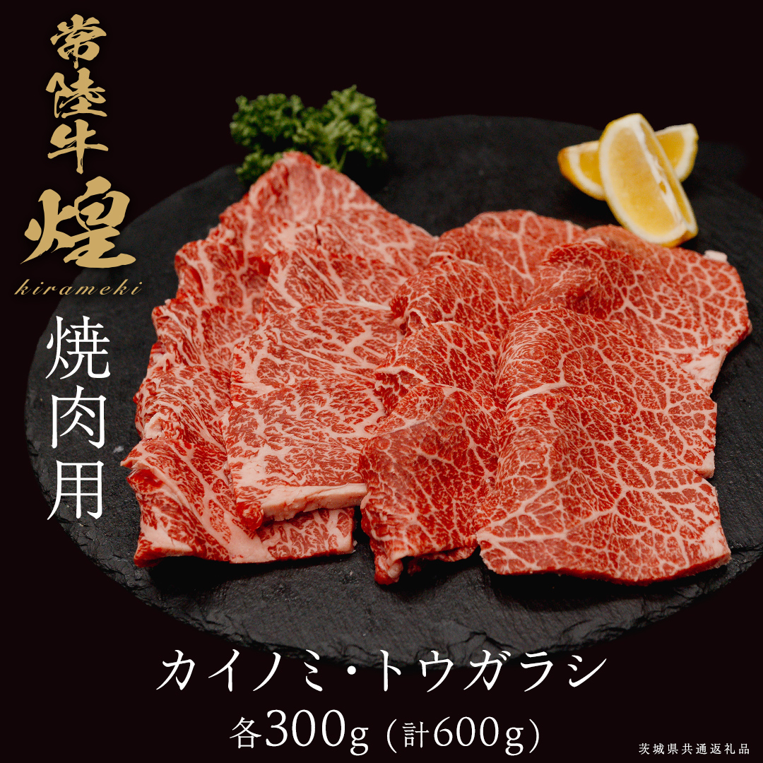【 常陸牛 煌 】カイノミ・トウガラシ 焼肉用 各300g (計600g) (茨城県共通返礼品) ［化粧箱入り］ 希少部位 牛肉 ブランド牛 きらめき 和牛 黒毛和牛 国産黒毛和牛 国産牛 焼肉 贈答 ギフト 小ザシ お肉 肉 A5ランク