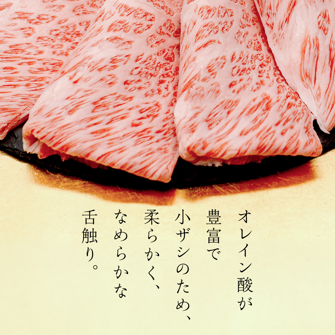 【 常陸牛 煌 】【3ヶ月連続 定期便】 ロース しゃぶしゃぶ用 400g (茨城県共通返礼品) ［化粧箱入り］希少部位 牛肉 ブランド牛 きらめき 和牛 黒毛和牛 国産黒毛和牛 国産牛 しゃぶしゃぶ 贈答 ギフト 小ザシ お肉 肉 A5ランク
