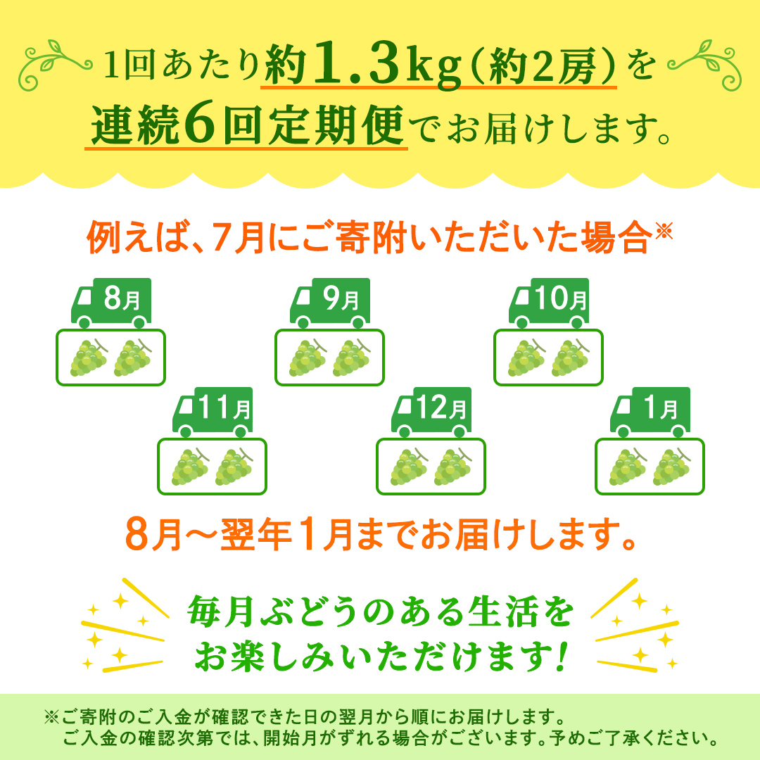 【定期便】6か月連続でお届け！ シャインマスカット 約1.3kg（約2房）【2026年8月から発送開始】（茨城県共通返礼品 [ぶどう]：結城市産） ぶどう ブドウ 葡萄 シャインマスカット 種なし 皮ごと 甘い 高級 ふるさと納税 定期便 6か月 [FC55-NT]
