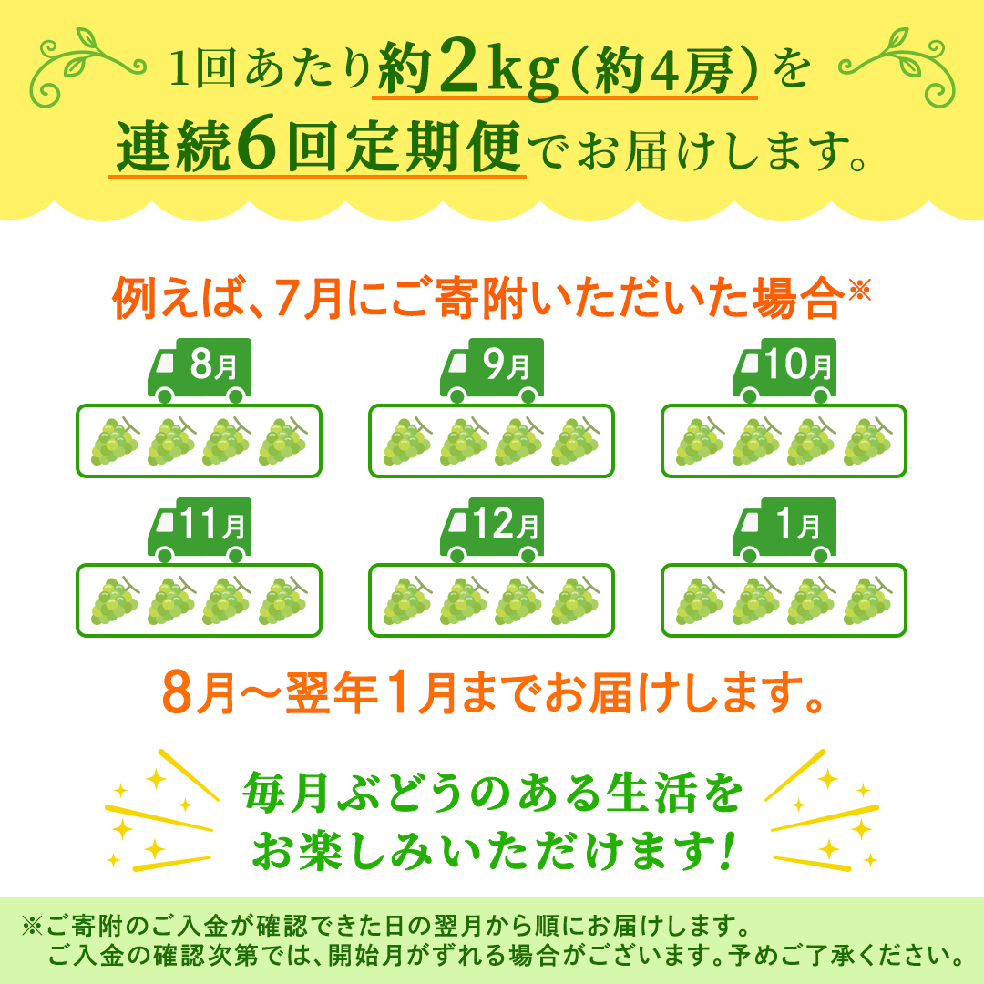【定期便】6か月連続でお届け！ シャインマスカット 約2kg（約4房）【2026年8月から発送開始】（茨城県共通返礼品 [ぶどう]：結城市産） ぶどう ブドウ 葡萄 シャインマスカット 種なし 皮ごと 甘い 高級 ふるさと納税 定期便 6か月 [FC57-NT]