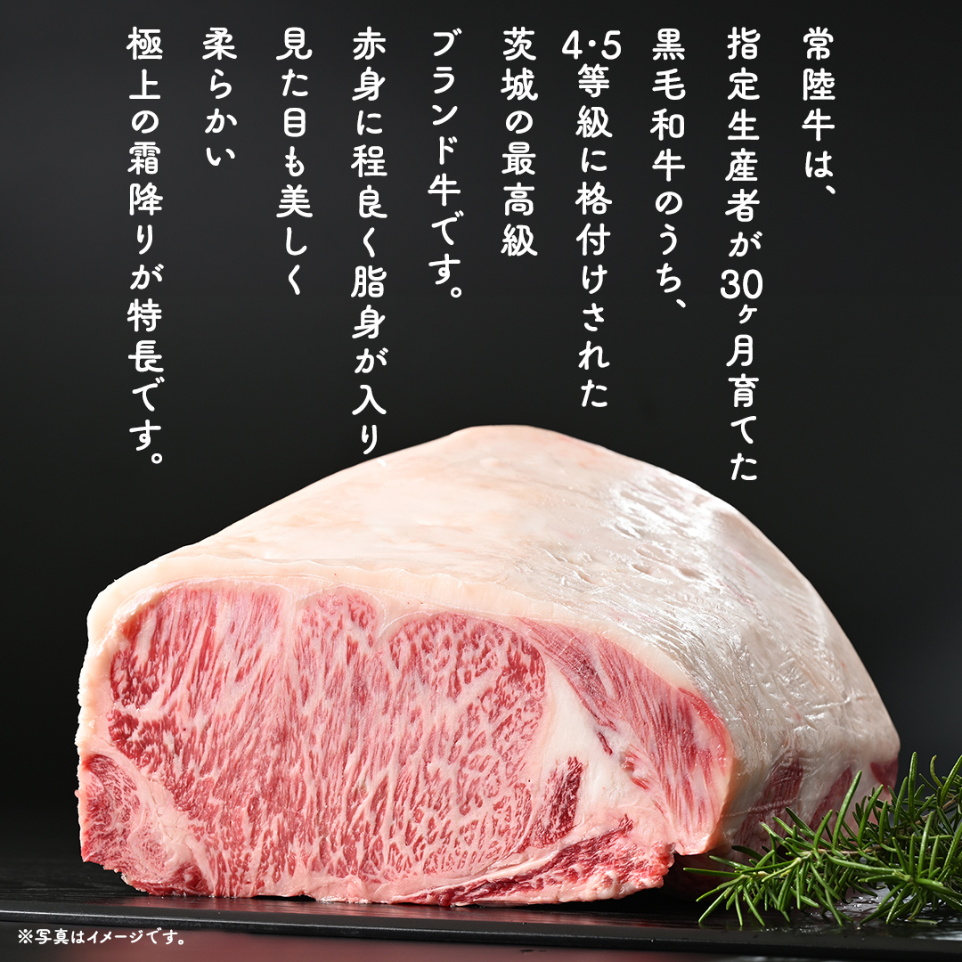 【 スピード 発送 】【 常陸牛 】 100% ハンバーグ ×10個（ ソース付き ） (茨城県共通返礼品) 牛肉 加工品 惣菜 お取り寄せグルメ 個包装 デミグラス 冷凍ハンバーグ [BX12-NT-sp]