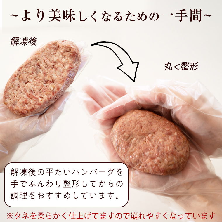 【 スピード 発送 】【 常陸牛 】 100% ハンバーグ ×10個（ ソース付き ） (茨城県共通返礼品) 牛肉 加工品 惣菜 お取り寄せグルメ 個包装 デミグラス 冷凍ハンバーグ [BX12-NT-sp]