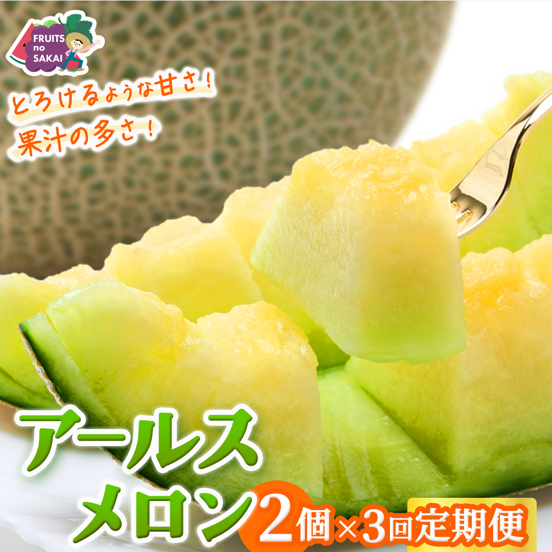 【定期便】 アールスメロン 2玉 × 3か月連続 メロン ギフト 高糖度 甘い 美味しい フルーツ 誕生日 プレゼント ギフト 贈り物 父の日 母の日 2個 [FC48-NT]