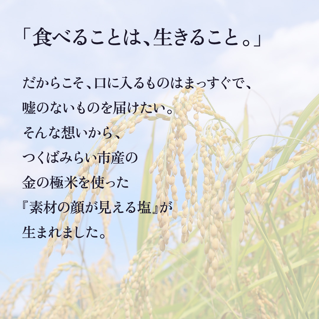 金の恵み米塩 三姉妹 塩3種セット（トマト塩・ワイン塩・ガーリック塩） ソルト しお salt 食べ比べ 調味料 塩 セット 便利 料理 味付 アレンジ こだわり 天然 ミネラル 手づくり さかたの塩 おにぎり 米 コシヒカリ こしひかり 玄米 甘み 旨味 野菜  トマト ワイン にんにく ハーブ [AI33-NT]