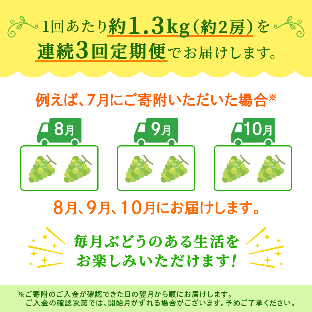 【定期便】3か月連続でお届け！ シャインマスカット 約1.3kg（約2房）【2026年8月から発送開始】（茨城県共通返礼品 [ぶどう]：結城市産） ぶどう ブドウ 葡萄 シャインマスカット 種なし 皮ごと 甘い 高級 ふるさと納税 定期便 3か月 [FC54-NT]