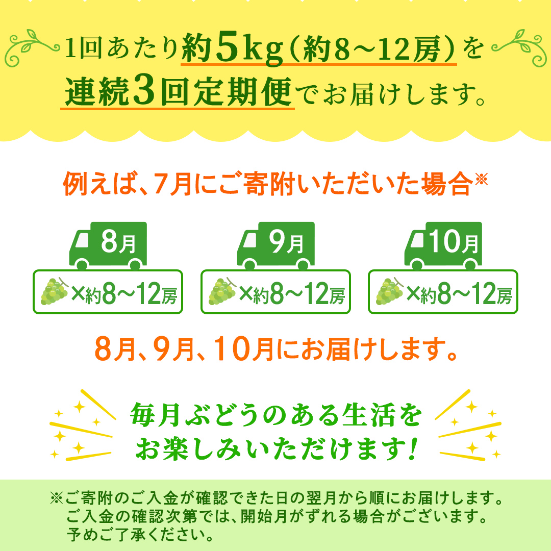 【定期便】3か月連続でお届け！ シャインマスカット 約5kg（約8～12房）【2026年8月から発送開始】（茨城県共通返礼品 [ぶどう]：結城市産）ぶどう ブドウ 葡萄 シャインマスカット 種なし 皮ごと 甘い 高級 ふるさと納税 定期便 3か月 [FC58-NT]