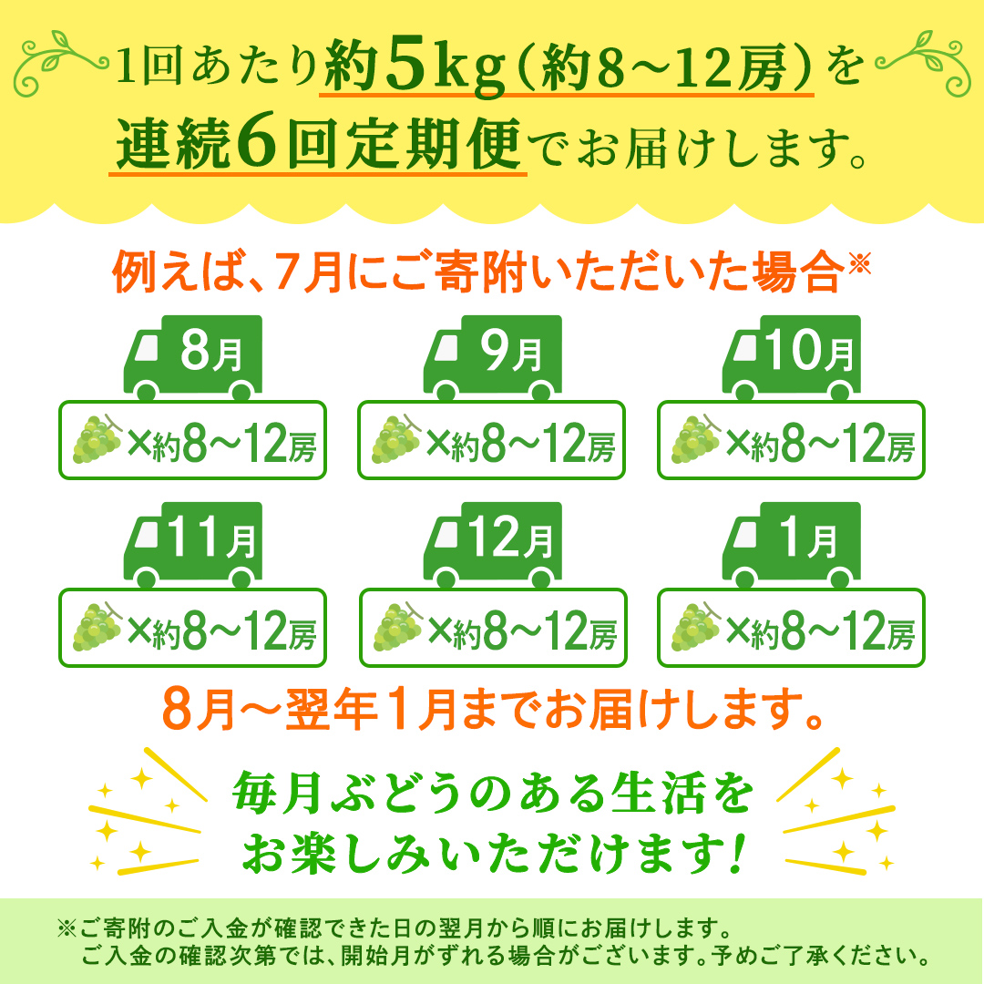 【定期便】6か月連続でお届け！ シャインマスカット 約5kg（約8～12房）【2026年8月から発送開始】（茨城県共通返礼品 [ぶどう]：結城市産） ぶどう ブドウ 葡萄 シャインマスカット 種なし 皮ごと 甘い 高級 ふるさと納税 定期便 6か月 [FC59-NT]