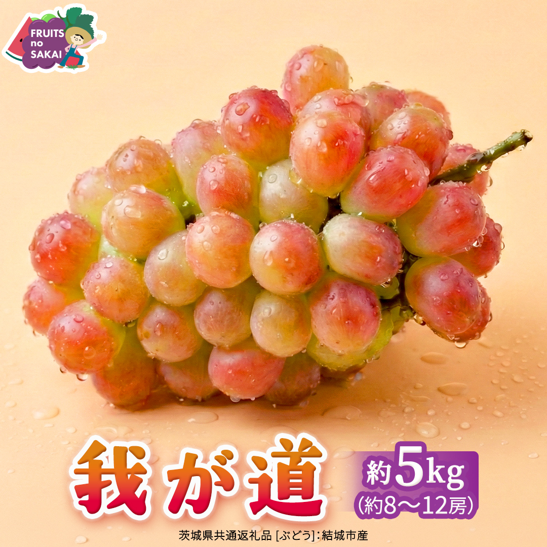 我が道 約5kg （約8～12房）【2026年8月より発送開始】（茨城県共通返礼品 [ぶどう]：結城市産） ぶどう ブドウ 葡萄 我が道 黒ぶどう 皮ごと 高級 国産 ふるさと納税 [FC03-NT]