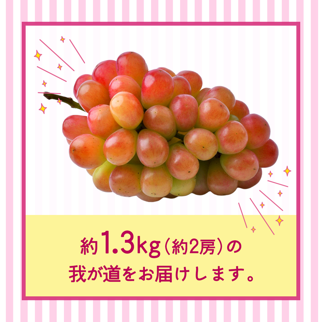 我が道 約1.3kg （約2房）【2026年8月より発送開始】（茨城県共通返礼品 [ぶどう]：結城市産） ぶどう ブドウ 葡萄 我が道 黒ぶどう 皮ごと 高級 国産 ふるさと納税 [FC19-NT]