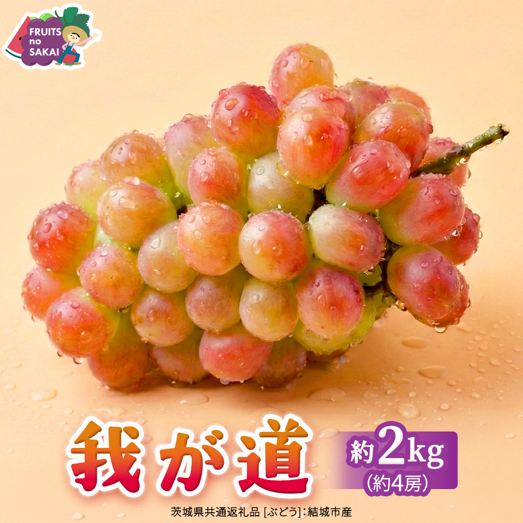 我が道 約2kg （約4房）【2026年8月より発送開始】（茨城県共通返礼品 [ぶどう]：結城市産） ぶどう ブドウ 葡萄 我が道 黒ぶどう 皮ごと 高級 国産 ふるさと納税 [FC20-NT]