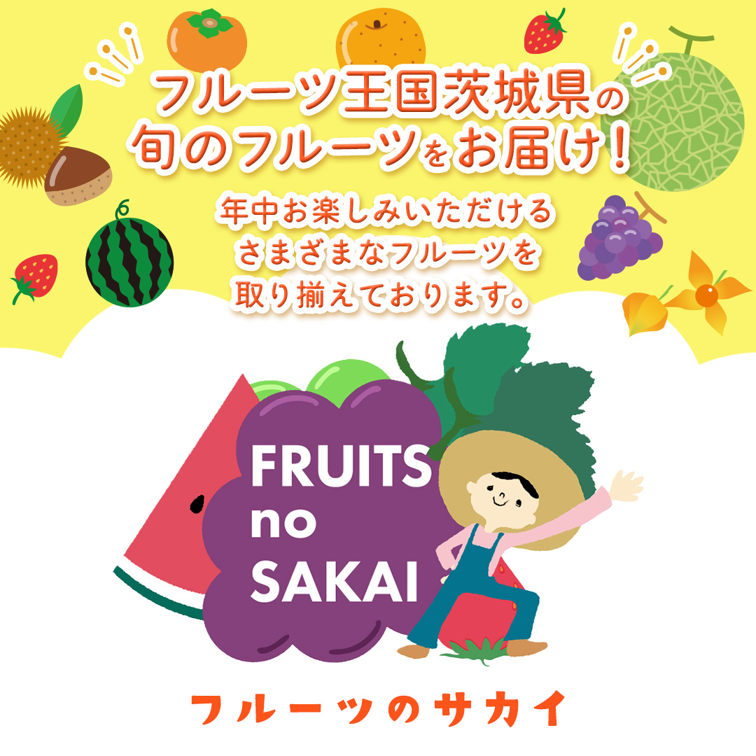 ナガノパープル 約2kg （約4房）【2026年8月より発送開始】（茨城県共通返礼品 [ぶどう]：結城市産） ぶどう ブドウ 葡萄 ナガノパープル 種なし 皮ごと 高級 国産 黒ぶどう 旬 お取り寄せ フルーツ 希少品種 デザート [FC22-NT]