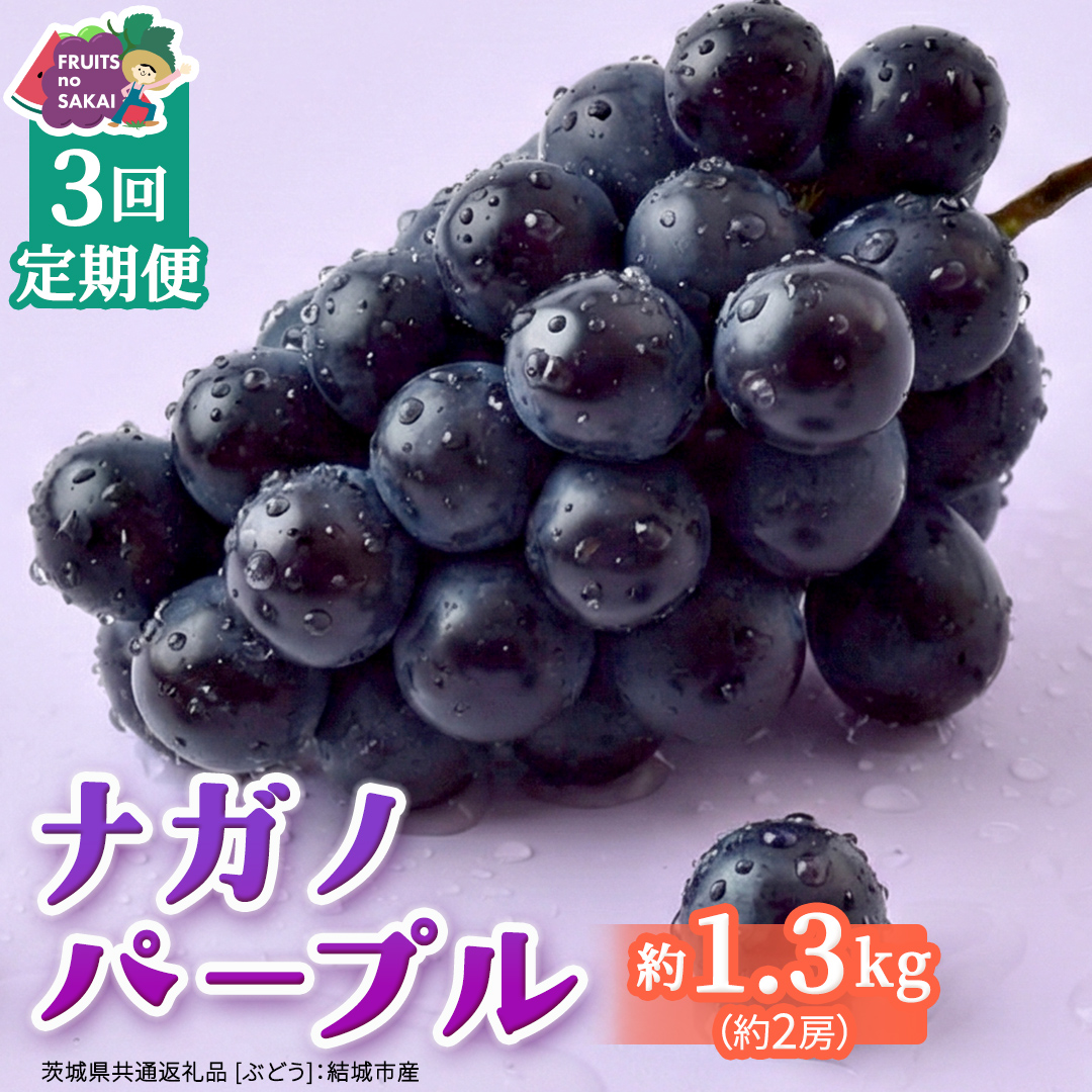【定期便】3か月連続でお届け！ナガノパープル 約1.3kg （約2房）【2026年8月より発送開始】（茨城県共通返礼品 [ぶどう]：結城市産） ぶどう ブドウ 葡萄 ナガノパープル 種なし 皮ごと 高級 国産 黒ぶどう 旬 お取り寄せ フルーツ 希少品種 デザート [FC60-NT]