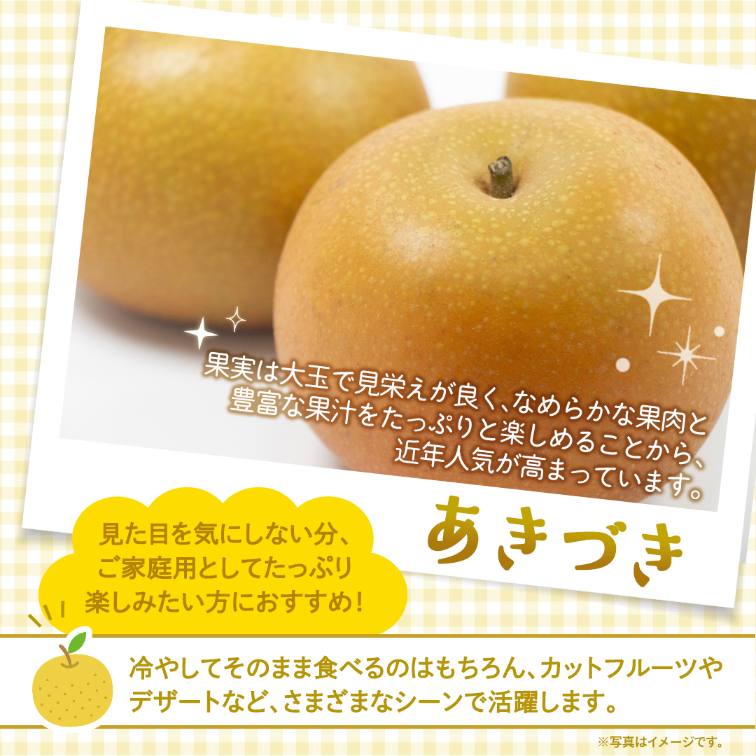 ＜ 訳あり ＞ あきづき 約5kg 【2026年10月より発送開始】（茨城県共通返礼品 [梨]：大子町産） ご家庭用 フルーツ なし ナシ 和梨  梨 わけあり 果実 旬のフルーツ お取り寄せ くだもの 果物 みずみずしい [FC70-NT]