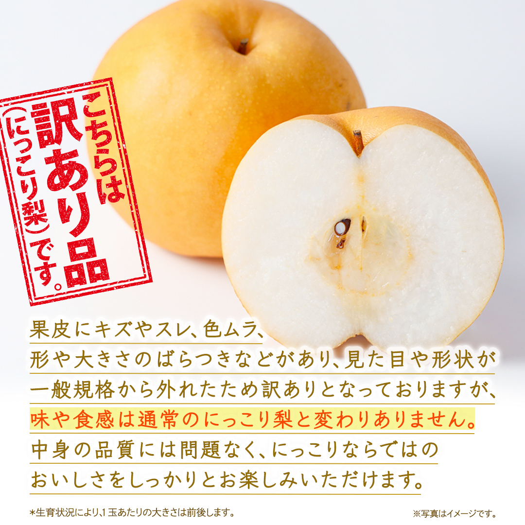 ＜ 訳あり ＞ にっこり 約5kg 【2026年10月より発送開始】（茨城県共通返礼品 [梨]：大子町産） ご家庭用 フルーツ なし ナシ 和梨  梨 わけあり 果実 旬のフルーツ お取り寄せ くだもの 果物 みずみずしい [FC71-NT]