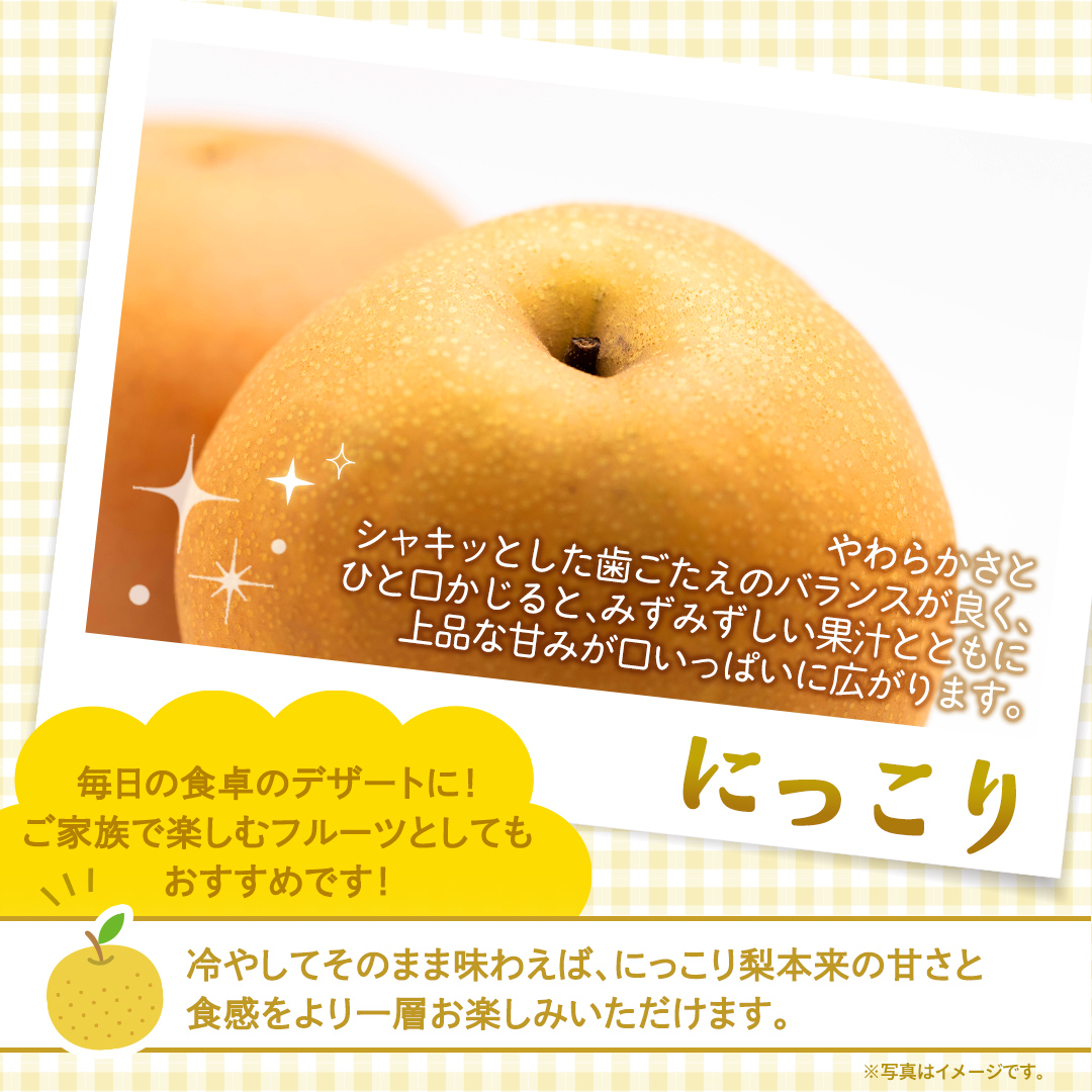 ＜ 訳あり ＞ にっこり 約5kg 【2026年10月より発送開始】（茨城県共通返礼品 [梨]：大子町産） ご家庭用 フルーツ なし ナシ 和梨  梨 わけあり 果実 旬のフルーツ お取り寄せ くだもの 果物 みずみずしい [FC71-NT]