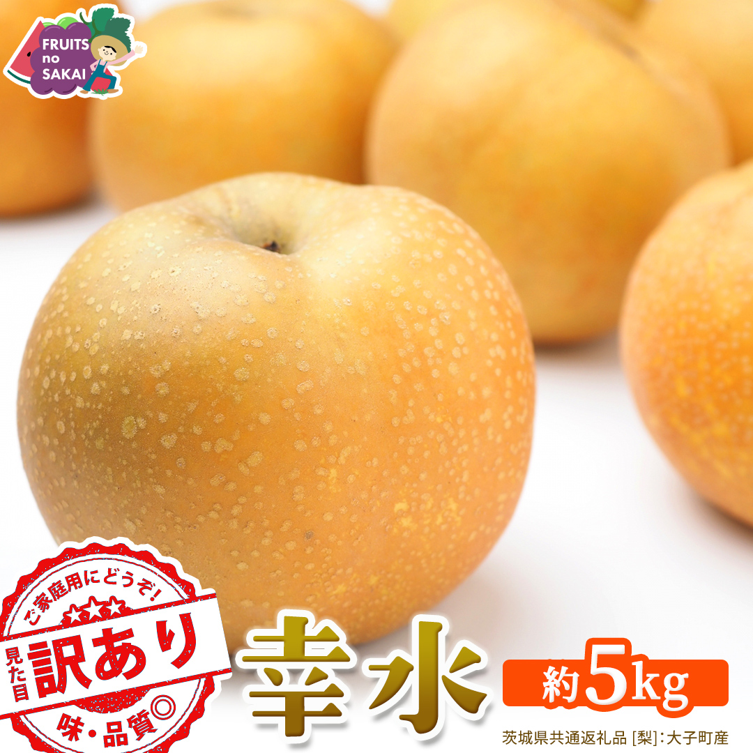 ＜ 訳あり ＞ 幸水 約5kg 【2026年8月より発送開始】（茨城県共通返礼品 [梨]：大子町産） ご家庭用 フルーツ なし ナシ 和梨  梨 わけあり 果実 旬のフルーツ お取り寄せ くだもの 果物 みずみずしい [FC74-NT]
