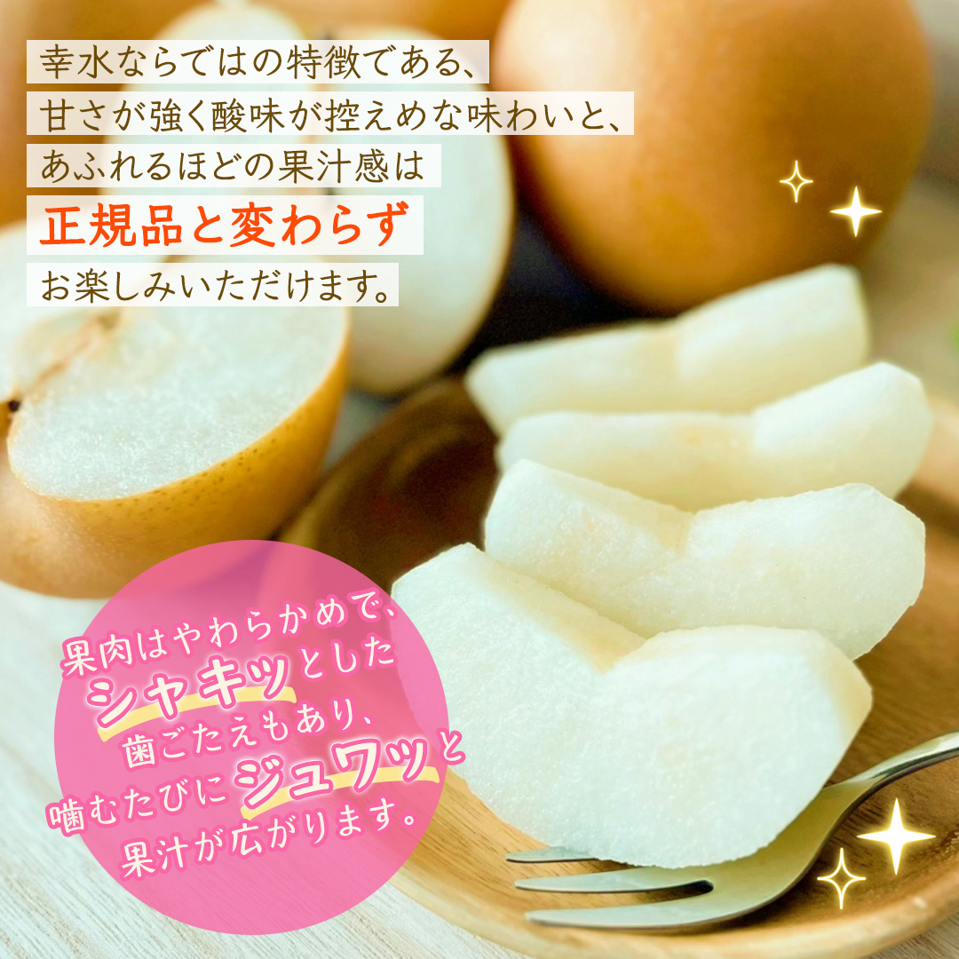 ＜ 訳あり ＞ 幸水 約5kg 【2026年8月より発送開始】（茨城県共通返礼品 [梨]：大子町産） ご家庭用 フルーツ なし ナシ 和梨  梨 わけあり 果実 旬のフルーツ お取り寄せ くだもの 果物 みずみずしい [FC74-NT]