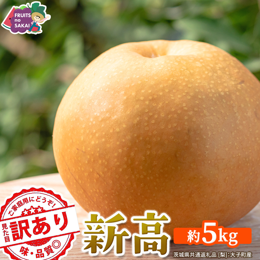 ＜ 訳あり ＞ 新高 約5kg 【2026年10月より発送開始】（茨城県共通返礼品 [梨]：大子町産） ご家庭用 フルーツ なし ナシ 和梨  梨 わけあり 果実 旬のフルーツ お取り寄せ くだもの 果物 みずみずしい [FC77-NT]