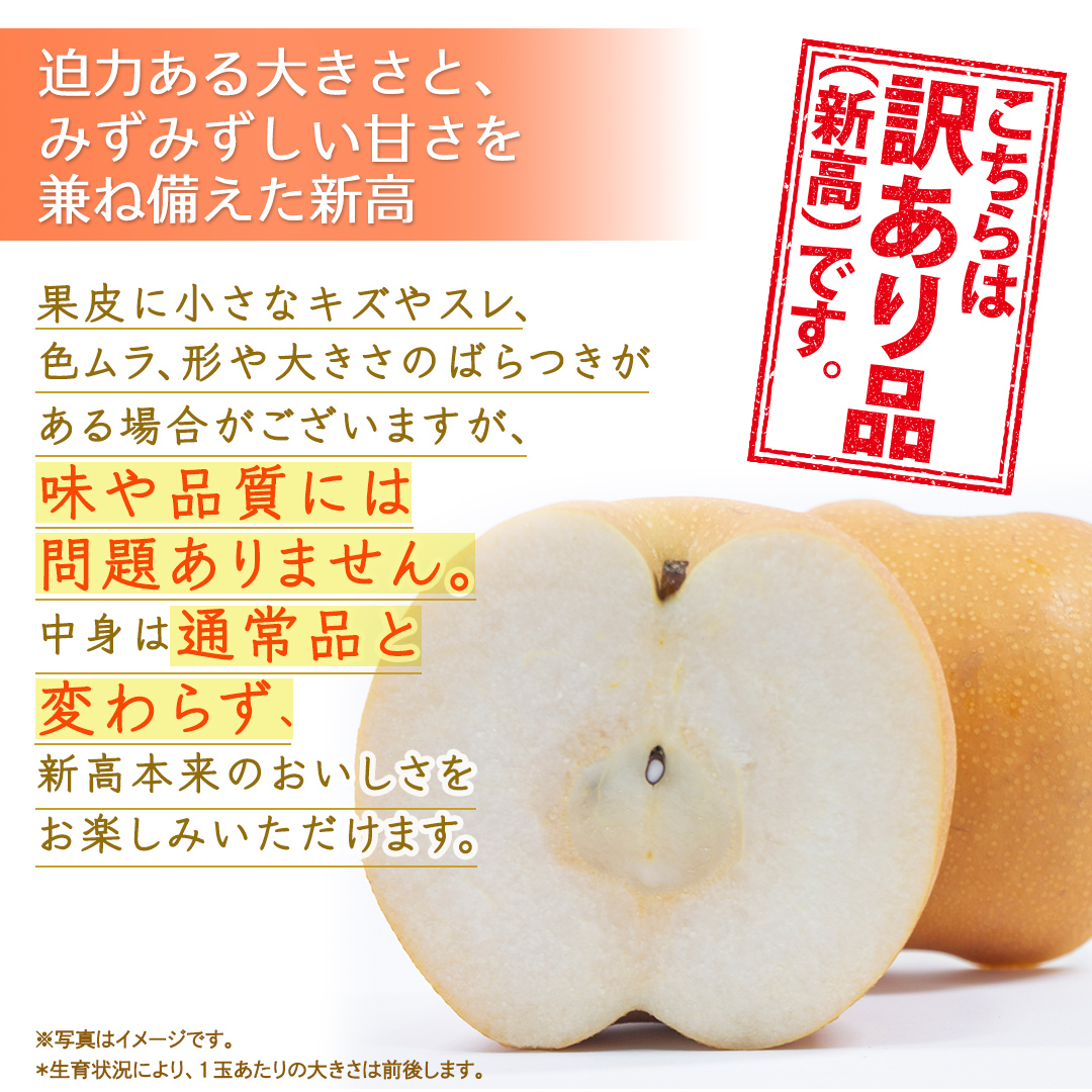 ＜ 訳あり ＞ 新高 約5kg 【2026年10月より発送開始】（茨城県共通返礼品 [梨]：大子町産） ご家庭用 フルーツ なし ナシ 和梨  梨 わけあり 果実 旬のフルーツ お取り寄せ くだもの 果物 みずみずしい [FC77-NT]