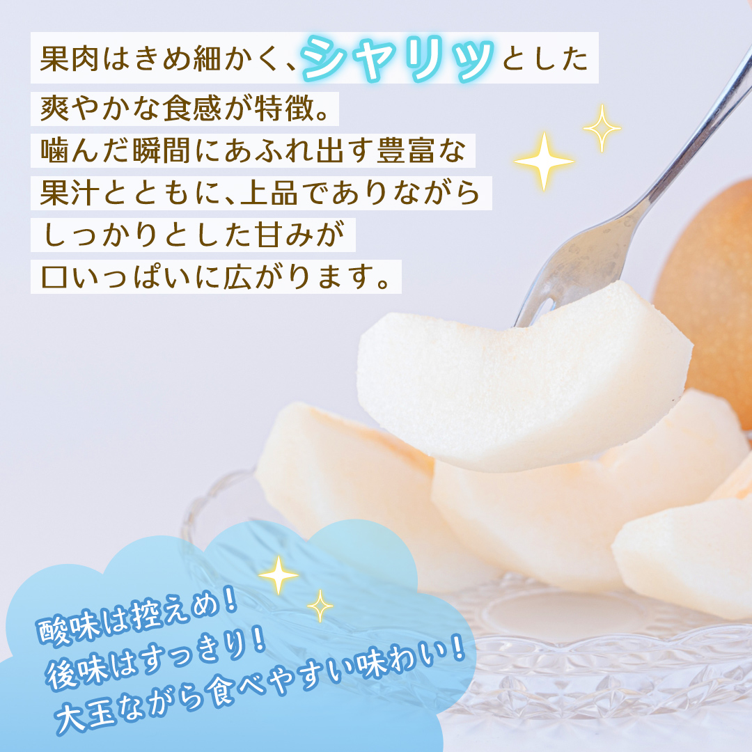 ＜ 訳あり ＞ 新高 約5kg 【2026年10月より発送開始】（茨城県共通返礼品 [梨]：大子町産） ご家庭用 フルーツ なし ナシ 和梨  梨 わけあり 果実 旬のフルーツ お取り寄せ くだもの 果物 みずみずしい [FC77-NT]