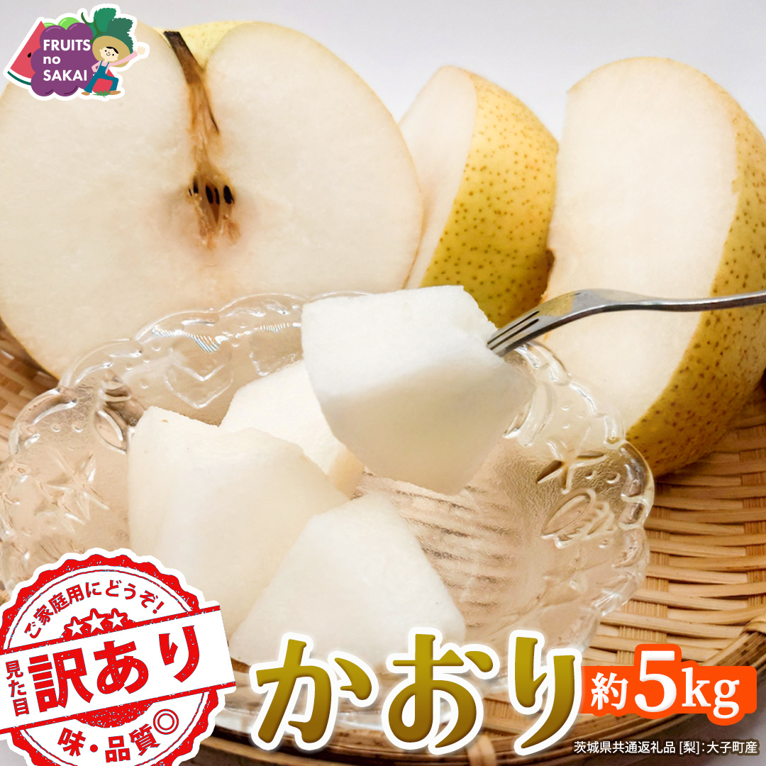 ＜ 訳あり ＞ かおり 約5kg 【2026年9月より発送開始】（茨城県共通返礼品 [梨]：大子町産） ご家庭用 フルーツ なし ナシ 和梨  梨 わけあり 果実 旬のフルーツ お取り寄せ くだもの 果物 みずみずしい [FC80-NT]