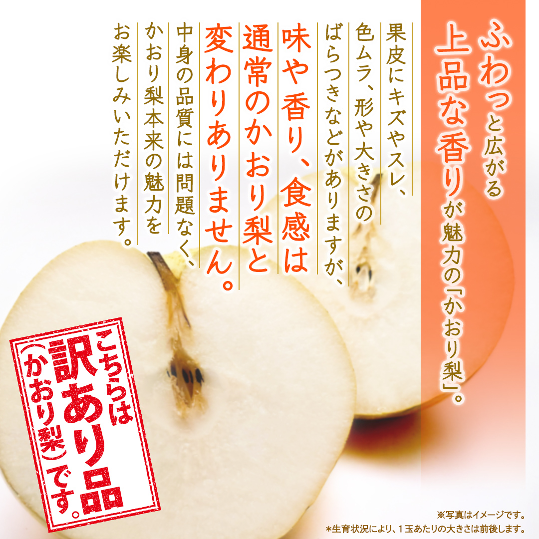 ＜ 訳あり ＞ かおり 約5kg 【2026年9月より発送開始】（茨城県共通返礼品 [梨]：大子町産） ご家庭用 フルーツ なし ナシ 和梨  梨 わけあり 果実 旬のフルーツ お取り寄せ くだもの 果物 みずみずしい [FC80-NT]