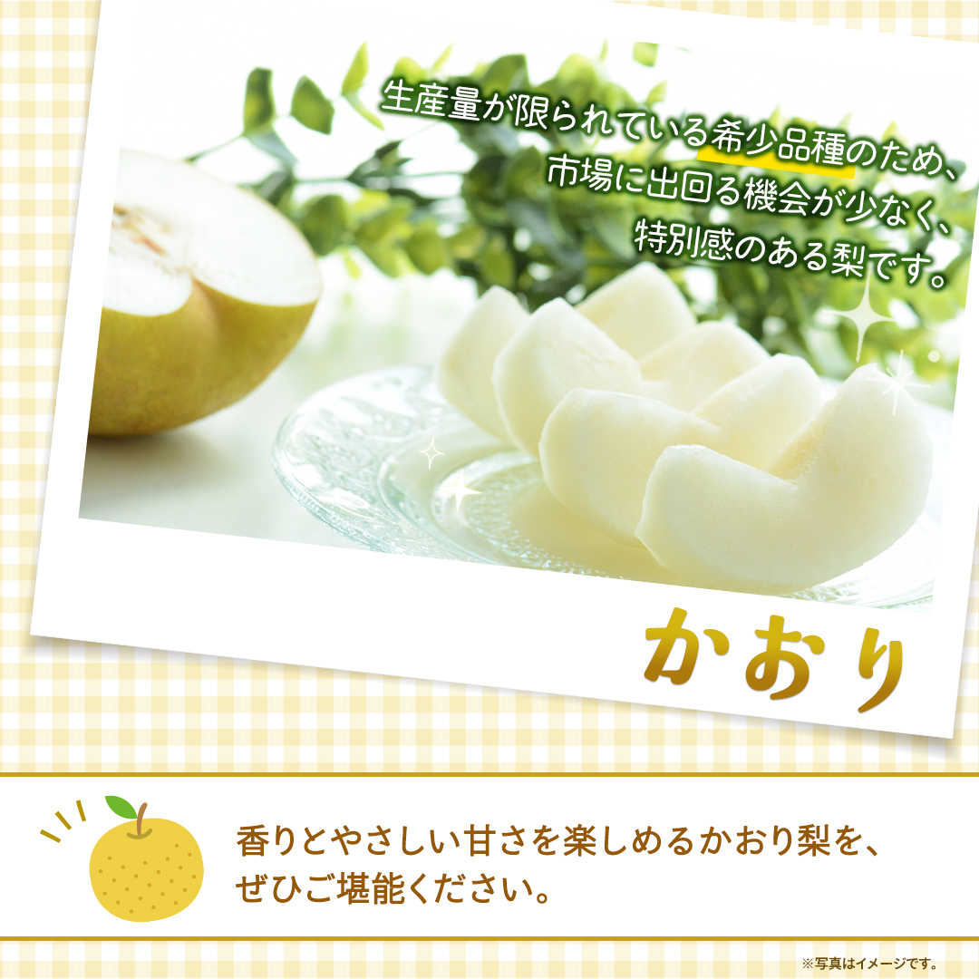 ＜ 訳あり ＞ かおり 約5kg 【2026年9月より発送開始】（茨城県共通返礼品 [梨]：大子町産） ご家庭用 フルーツ なし ナシ 和梨  梨 わけあり 果実 旬のフルーツ お取り寄せ くだもの 果物 みずみずしい [FC80-NT]