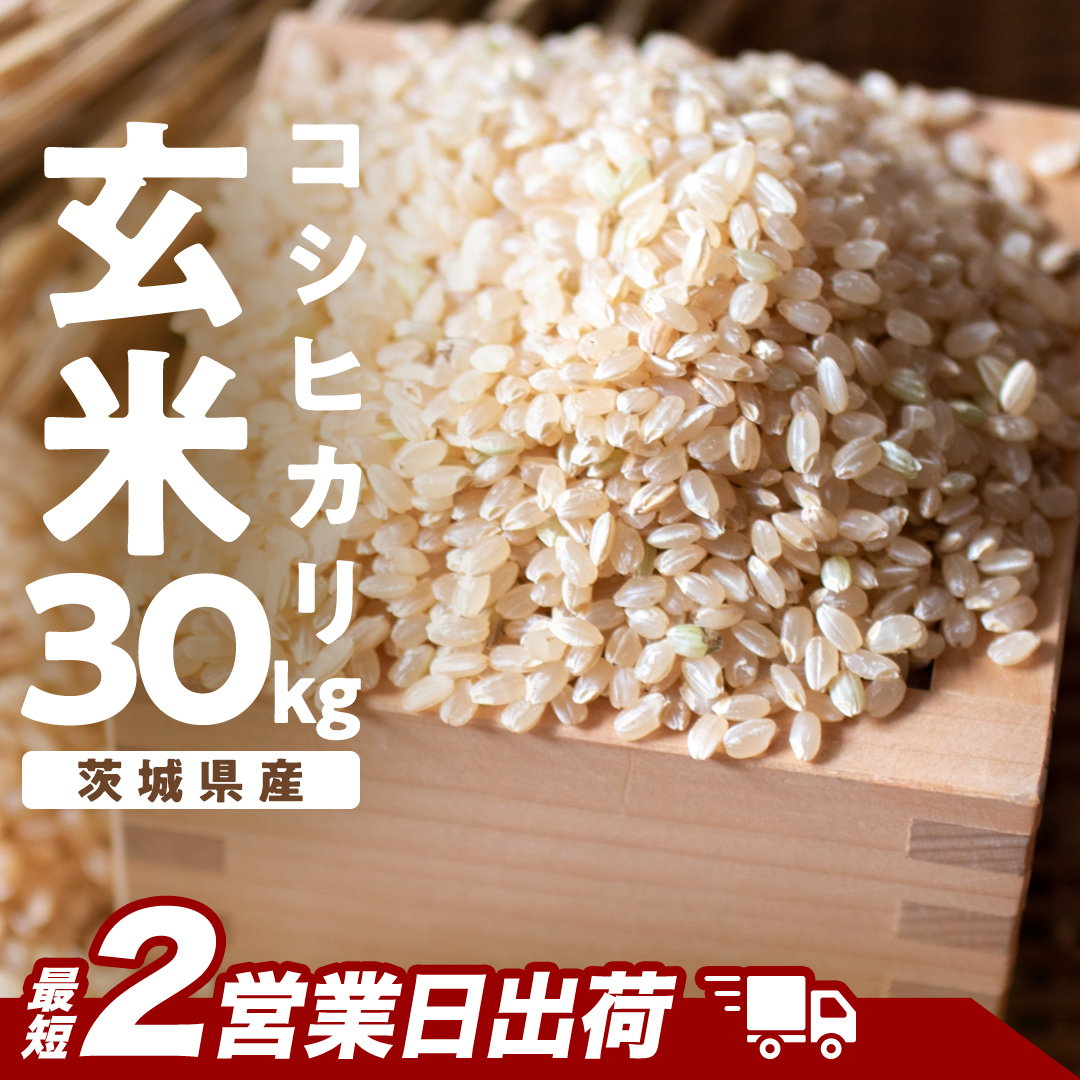 【最短2営業日出荷】 コシヒカリ 玄米 30kg 茨城県 つくばみらい市産スピード発送 お米 米 おこめ こめ コメ 30キロ こしひかり 令和7年産 大容量 玄米食 低GI [DW42-NT-sp]