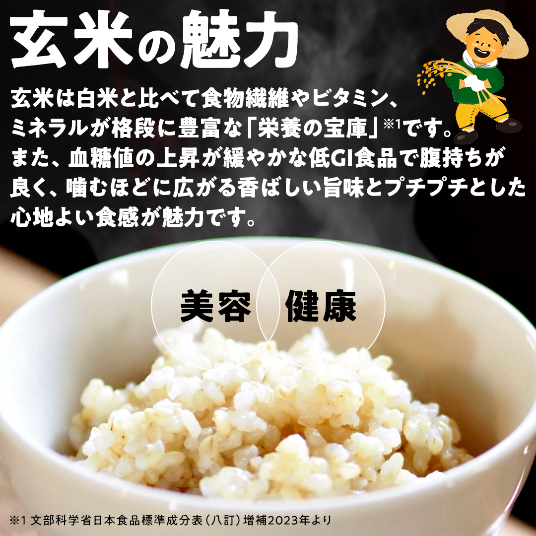 【最短2営業日出荷】 コシヒカリ 玄米 30kg 茨城県 つくばみらい市産スピード発送 お米 米 おこめ こめ コメ 30キロ こしひかり 令和7年産 大容量 玄米食 低GI [DW42-NT-sp]