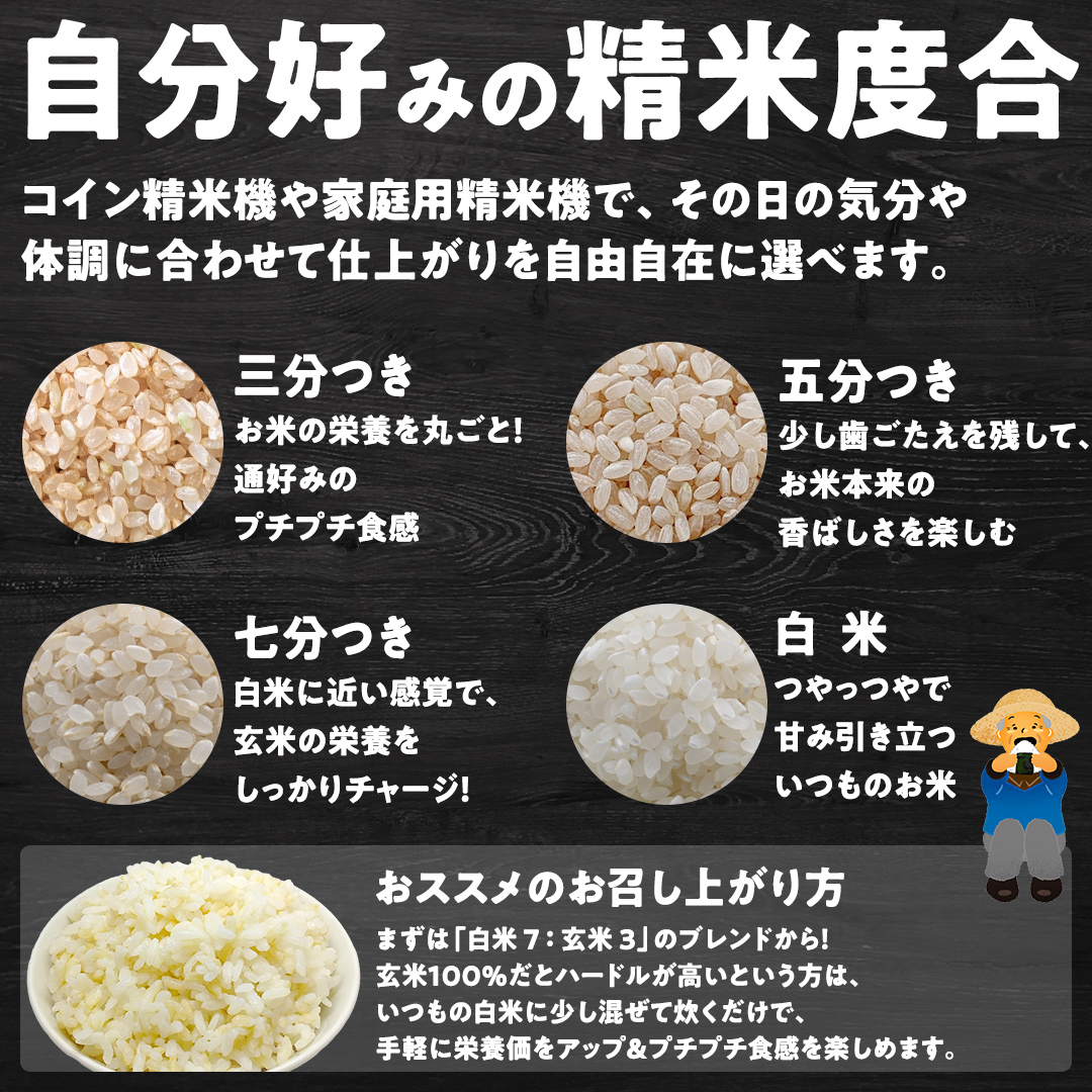 【最短2営業日出荷】 コシヒカリ 玄米 30kg 茨城県 つくばみらい市産スピード発送 お米 米 おこめ こめ コメ 30キロ こしひかり 令和7年産 大容量 玄米食 低GI [DW42-NT-sp]