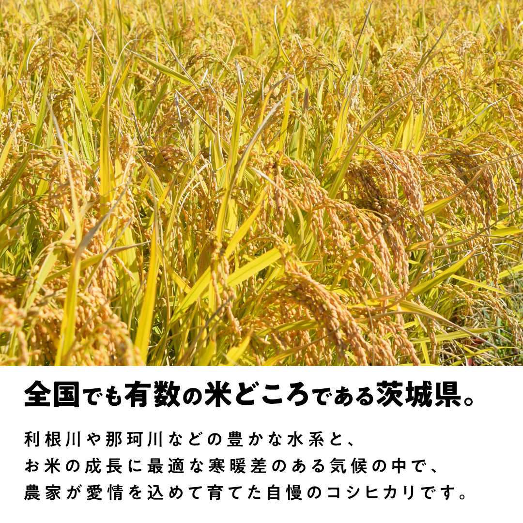 【最短2営業日出荷】 コシヒカリ 玄米 30kg 茨城県 つくばみらい市産スピード発送 お米 米 おこめ こめ コメ 30キロ こしひかり 令和7年産 大容量 玄米食 低GI [DW42-NT-sp]