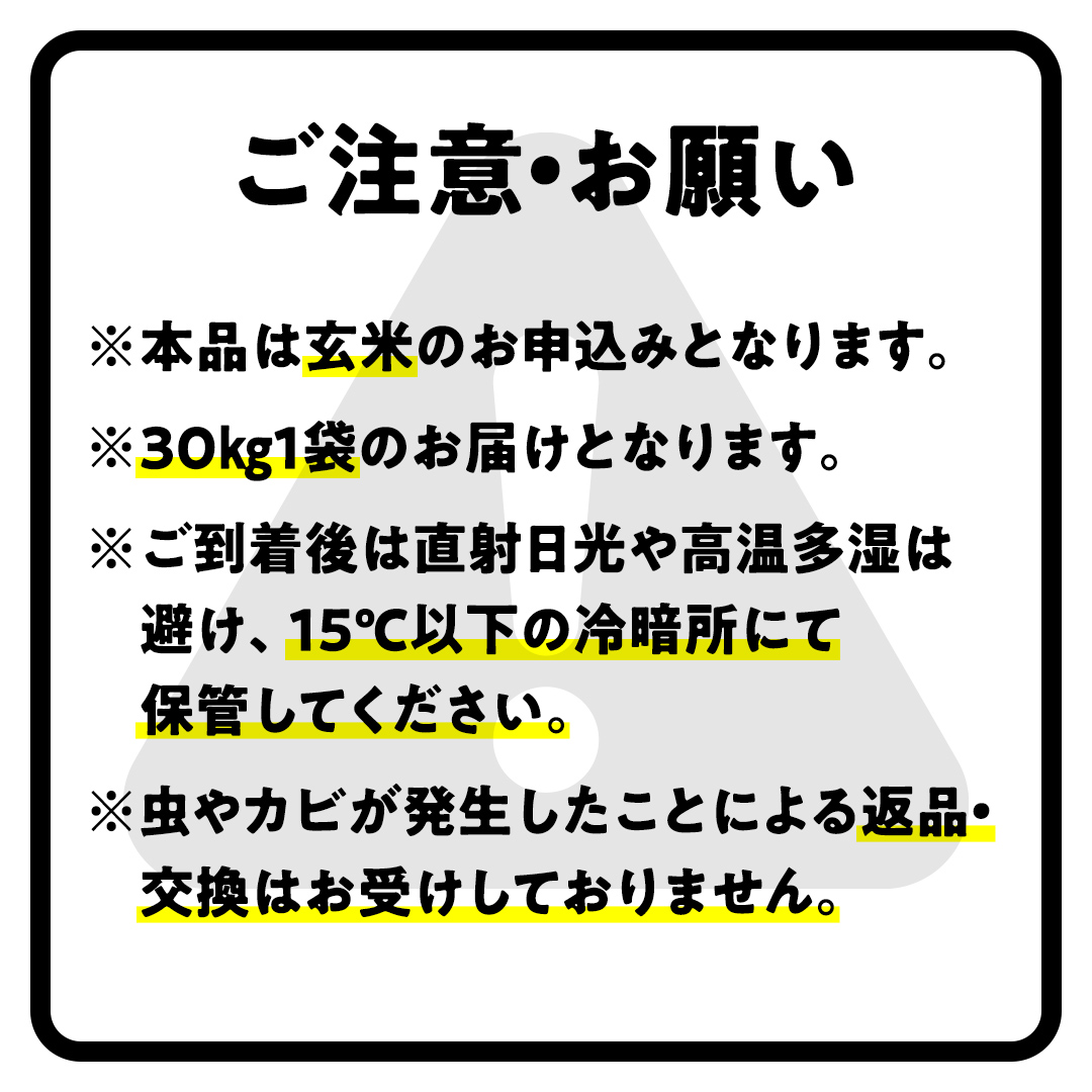 【最短2営業日出荷】 コシヒカリ 玄米 30kg 茨城県 つくばみらい市産スピード発送 お米 米 おこめ こめ コメ 30キロ こしひかり 令和7年産 大容量 玄米食 低GI [DW42-NT-sp]