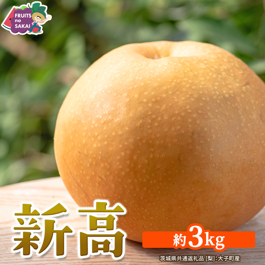 新高 約3kg 【2026年10月より発送開始】（茨城県共通返礼品 [梨]：大子町産） 高糖度 ギフト 贈り物 プレゼント フルーツ なし ナシ 和梨  梨 果実 旬のフルーツ お取り寄せ くだもの 果物 みずみずしい [FC75-NT]