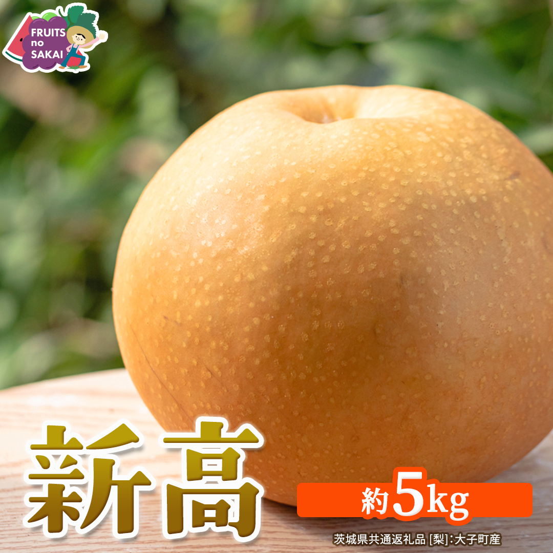 新高 約5kg 【2026年10月より発送開始】（茨城県共通返礼品 [梨]：大子町産） 高糖度 ギフト 贈り物 プレゼント フルーツ なし ナシ 和梨  梨 果実 旬のフルーツ お取り寄せ くだもの 果物 みずみずしい [FC76-NT]