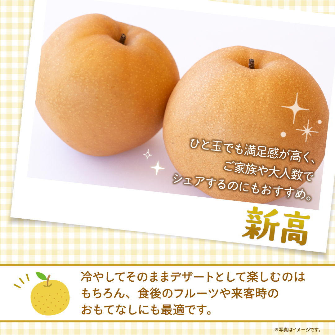 新高 約5kg 【2026年10月より発送開始】（茨城県共通返礼品 [梨]：大子町産） 高糖度 ギフト 贈り物 プレゼント フルーツ なし ナシ 和梨  梨 果実 旬のフルーツ お取り寄せ くだもの 果物 みずみずしい [FC76-NT]