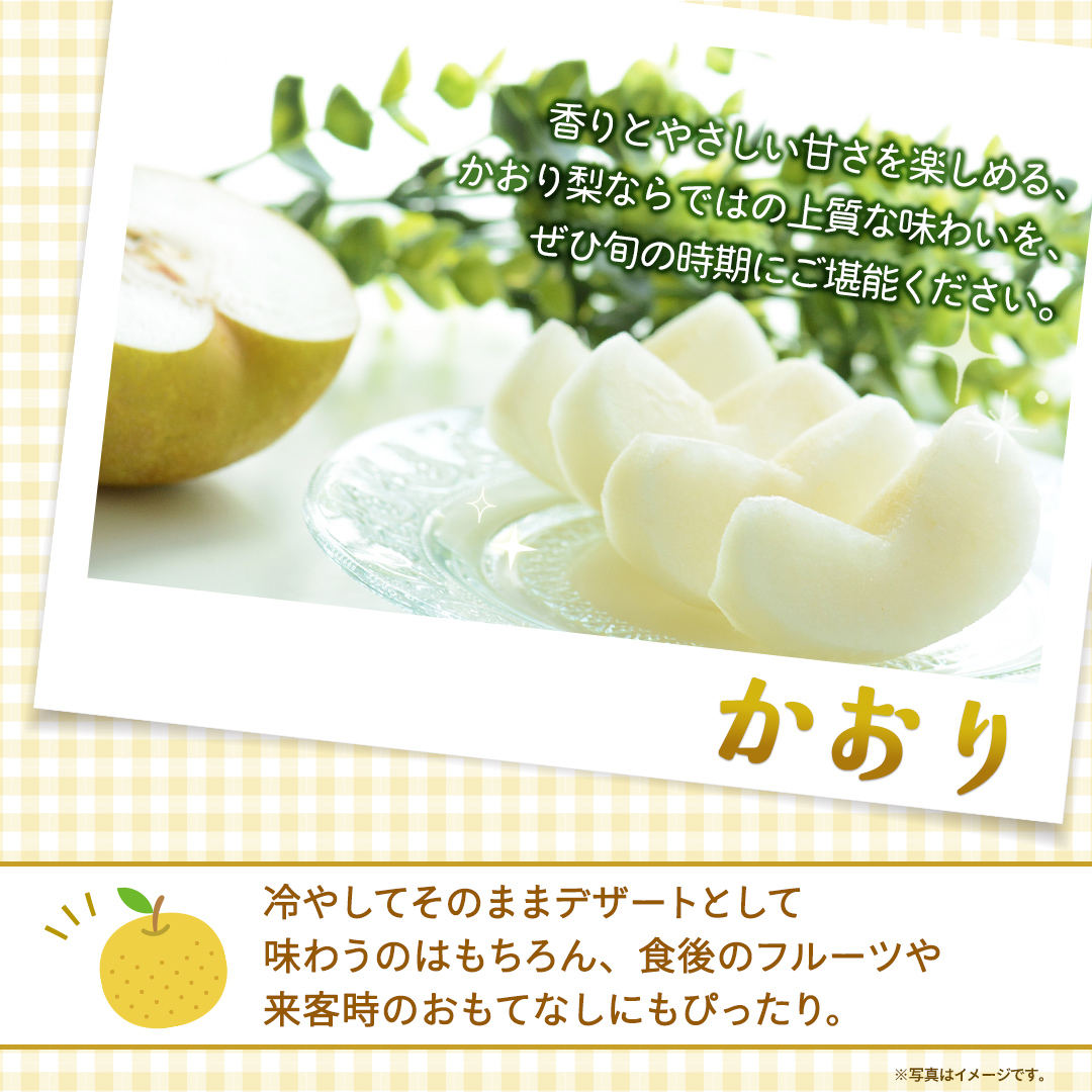 かおり 約5kg 【2026年9月より発送開始】（茨城県共通返礼品 [梨]：大子町産） 高糖度 ギフト 贈り物 プレゼント フルーツ なし ナシ 和梨  梨 果実 旬のフルーツ お取り寄せ くだもの 果物 みずみずしい [FC79-NT]